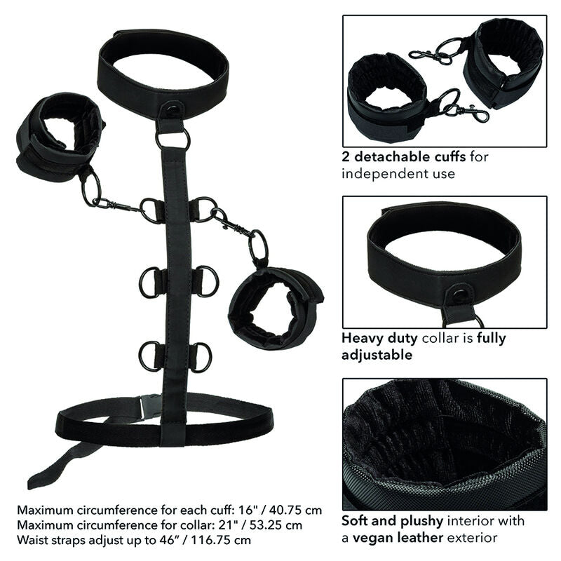 Comprar CALEXOTICS Collar Boundless – Sistema De Sujeción Con Diseño De Cuero Vegano-Noxtic