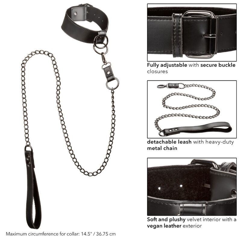 Comprar CALEXOTICS Euphoria Collar Con Correa De Cadena – Accesorio Elegante Para Exploración Sensual-Noxtic