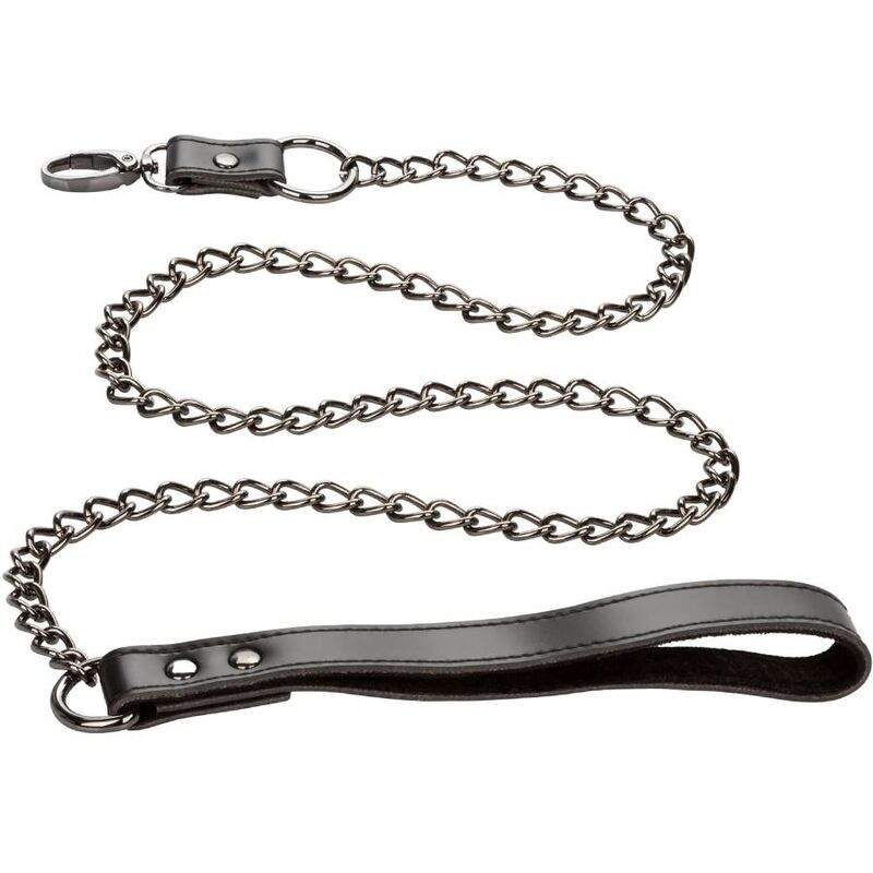 Comprar CALEXOTICS Euphoria Collar Con Correa De Cadena – Accesorio Elegante Para Exploración Sensual-Noxtic