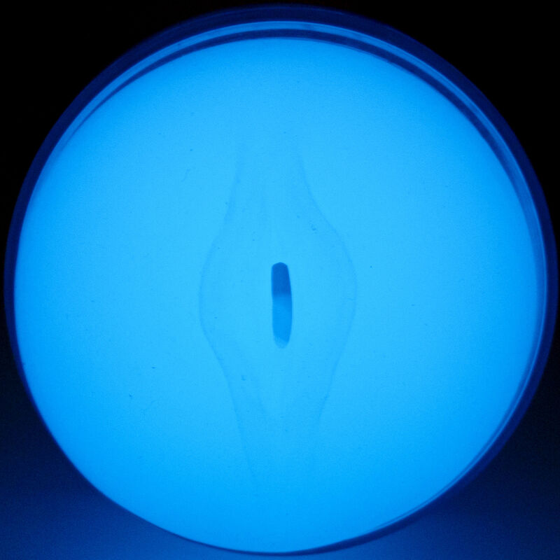 Comprar KIIROO Feel Glow In The Dark Stroker – Juguete Erótico Con Diseño Ergonómico Que Brilla En La Oscuridad-Noxtic