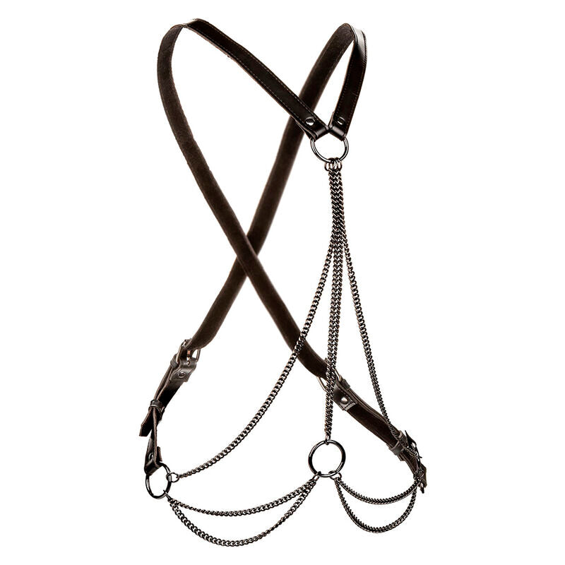 Comprar CALEXOTICS Euphoria Arnés De Múltiples Cadenas Premium Talla Plus – Diseño Elegante Para Celebrar La Belleza Y Comodidad-Noxtic