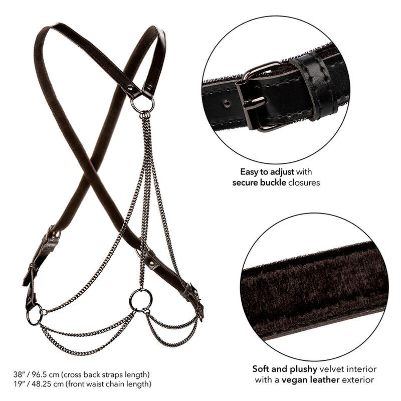 Comprar CALEXOTICS Euphoria Arnés De Múltiples Cadenas Premium Talla Plus – Diseño Elegante Para Celebrar La Belleza Y Comodidad-Noxtic
