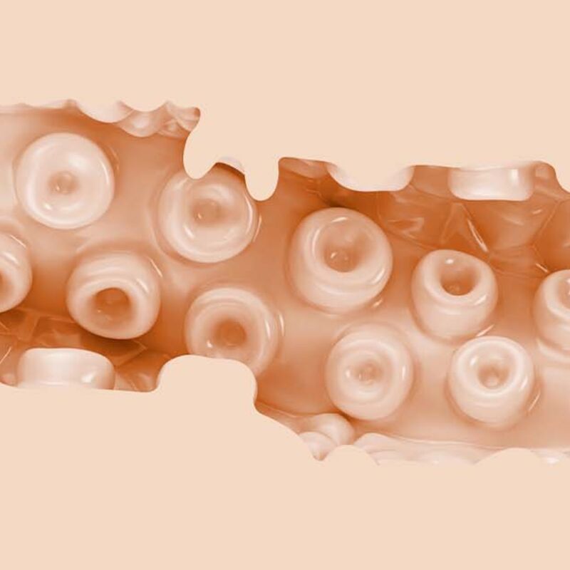 Comprar Fleshlight Fantasy Sasha Nakamoto – Masturbador Con Textura Realista Para Placer Unico-Noxtic