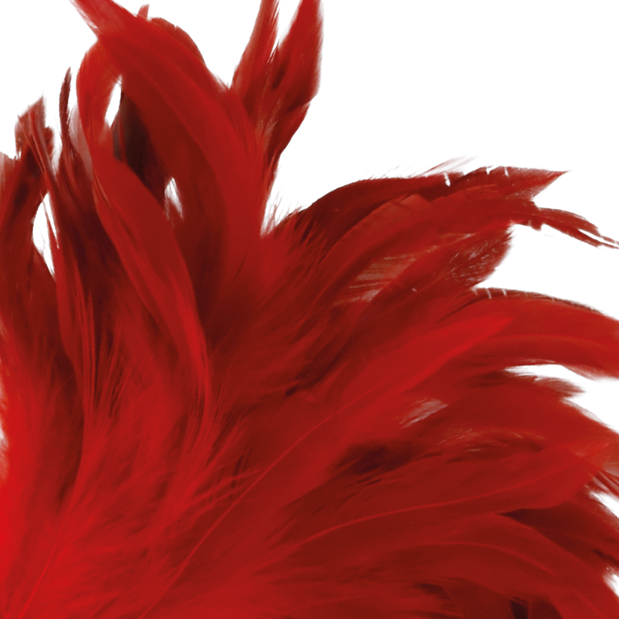 Comprar DARKNESS Pluma Estimuladora Roja 24CM – Juego De Sensaciones Ergonómico Para Momentos Intimos-Noxtic