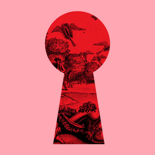 Revolución teledildónica: Intimidad a distancia con Noxtic