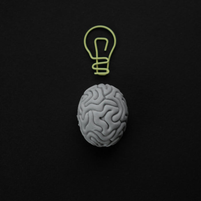 Neurosexología: Cómo el Cerebro Influye en tu Experiencia Sexual