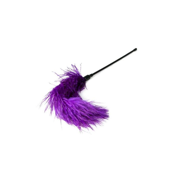 Plumero Purpura