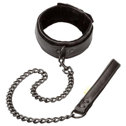 Comprar CALEXOTICS Collares Sin Límites Con Correa – Diseño Elegante Para Estilo Y Comodidad-Noxtic