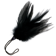 Comprar DARKNESS Pluma Estimuladora Negra 17 CM – Experiencia Sensorial Para Juegos de Placer-Noxtic