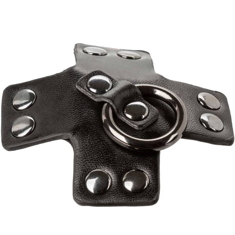 Copricapezzoli CALEXOTICS Euphoria O-Ring Nero – Accessorio sensuale dal design elegante