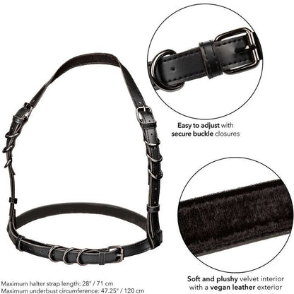 Comprar CALEXOTICS Arnés Halter Euphoria Talla Grande Negro – Diseño Confiable Para Comodidad Y Estilo-Noxtic