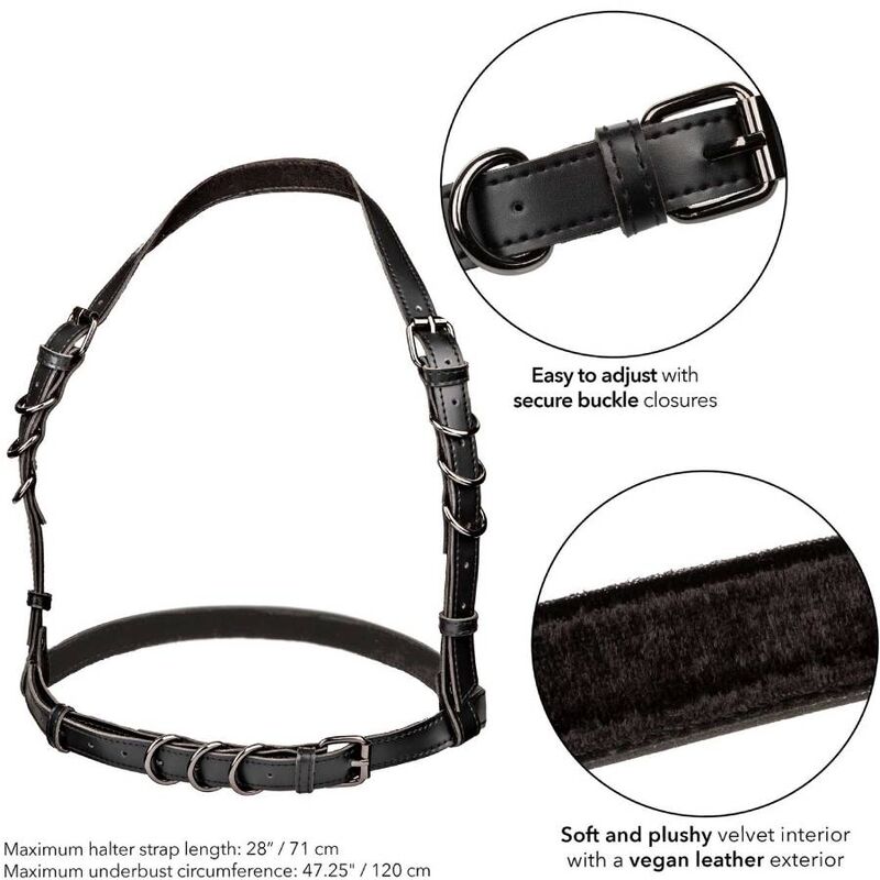 CALEXOTICS Euphoria Halter Harness Plus Size Nero – Design affidabile per comfort e stile