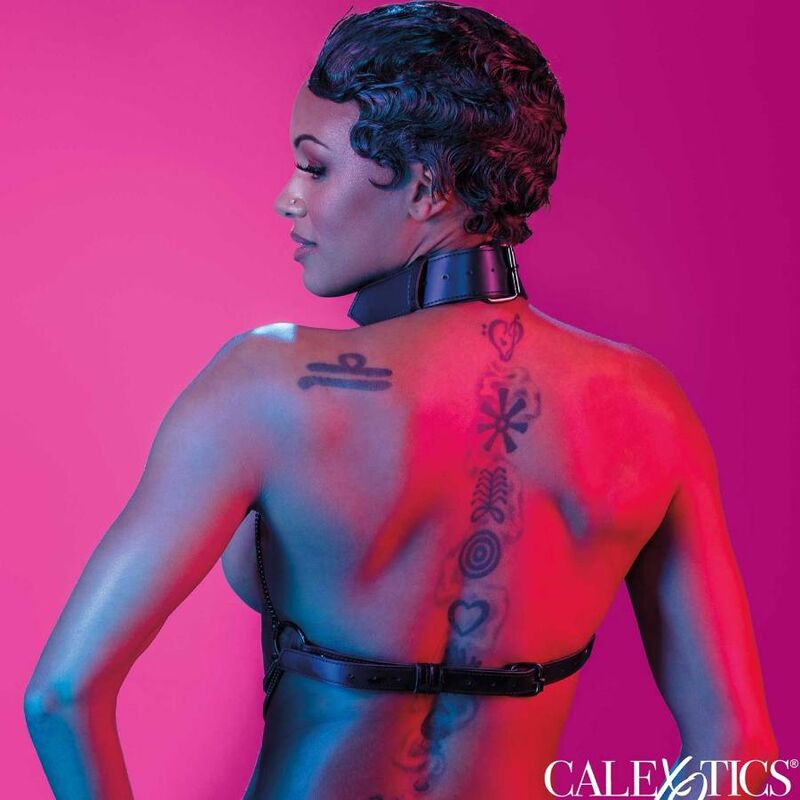 CALEXOTICS Euphoria Chain Neck Harness – Design elegante per l'esplorazione sensuale