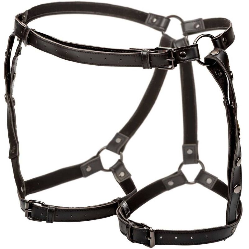 Comprar CalExotics Euphoria Arnés De Muslo – Diseño Premium Para Libertad Sensorial-Noxtic