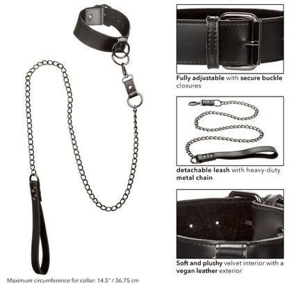Comprar CALEXOTICS Euphoria Collar Con Correa De Cadena – Accesorio Elegante Para Exploración Sensual-Noxtic