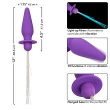 CALEXOTICS Southern Lights Light Up Plug – Estimulador Anal Con 10 Vibraciones Y Luces Sincronizadas