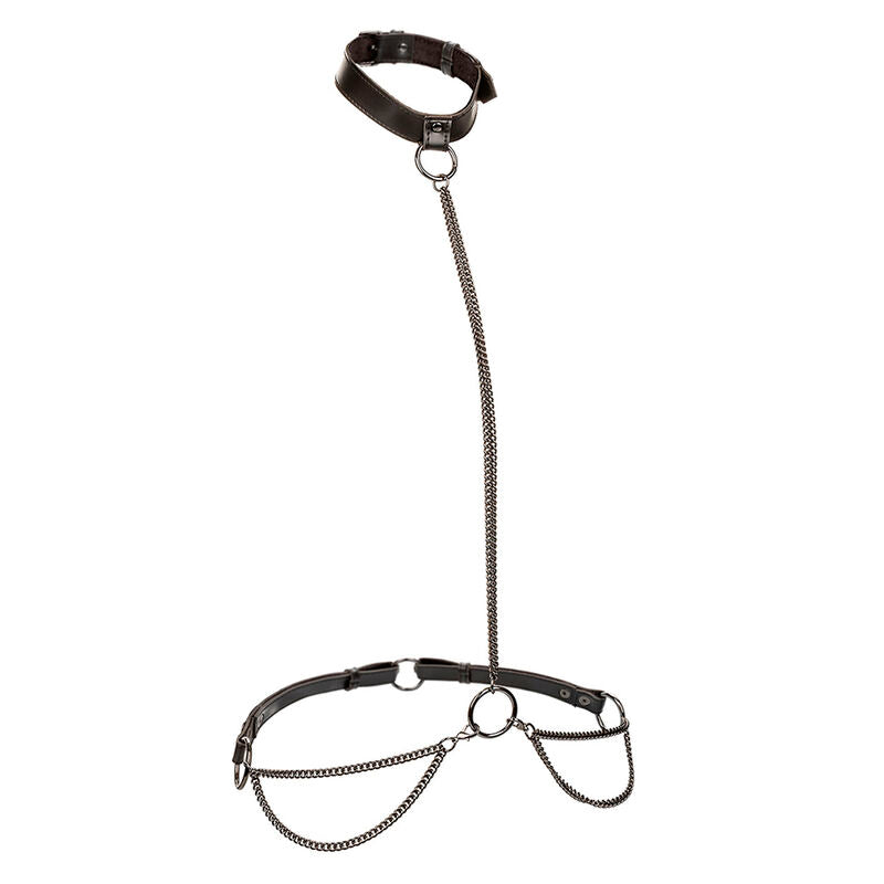 Comprar CALEXOTICS Collar Halter Euphoria – Diseño Elegante Para Placer y Confianza-Noxtic
