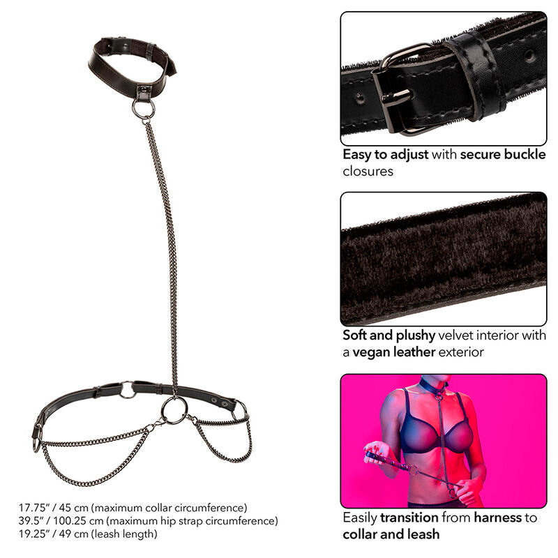 Comprar CALEXOTICS Collar Halter Euphoria – Diseño Elegante Para Placer y Confianza-Noxtic