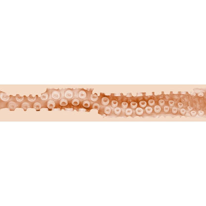 Comprar Fleshlight Fantasy Sasha Nakamoto – Masturbador Con Textura Realista Para Placer Unico-Noxtic