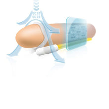 Comprar Andropenis Mini – Dispositivo De Alargamiento Con Diseño Médico Apropiado-Noxtic