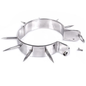 Comprar Metal Hard Collar Con Puntas – Collar De Metal Con Diseño Brillante Y Anilla En O Para Bondage-Noxtic