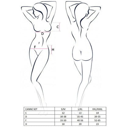 Comprar Passion Woman Canne Set Negro Talla S/M – Conjunto Elegante Para Autoexploración Con Estilo-Noxtic