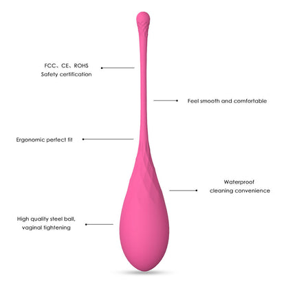 LESLIE - KEGEL FIT PELVIC FLOOR DELIVERY 6 WEIGHTS