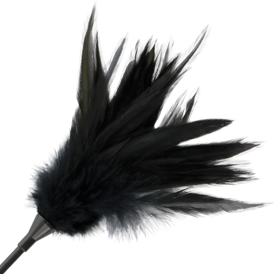 DARKNESS - BLACK FEATHER CROP