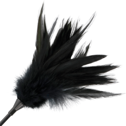 DARKNESS - BLACK FEATHER CROP