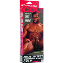 Comprar CALEXOTICS Colt Pene Realista Adam Dexter – Juguete Erótico Con Diseño Realista Para Placer Íntimo-Noxtic