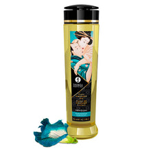 Comprar SHUNGA Aceite De Masaje 240 ML – Mezcla De Aceites Esenciales Para Bienestar Sensorial-Noxtic