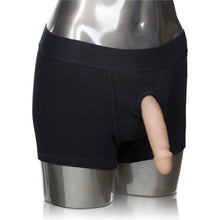 Comprar CALEXOTICS Packer Gear Boxer Arnés Universal M L – Diseño Confortable Con Tejido Transpirable Para Libertad Sensorial-Noxtic