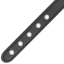Comprar DARKNESS Anilla Con Correa – Juguete Erótico Para Mayor Control Y Placer Sensual-Noxtic